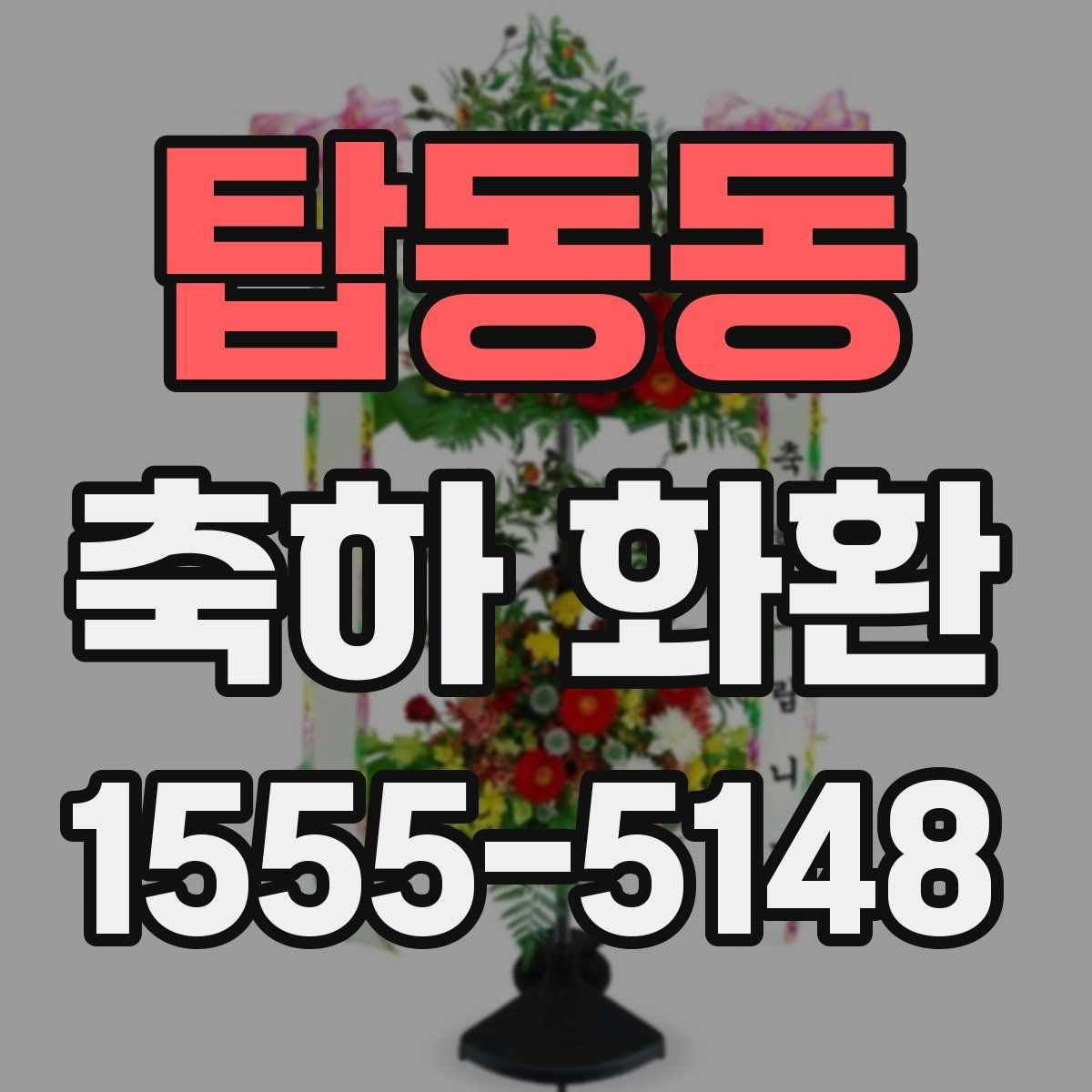 탑동동 축하 화환