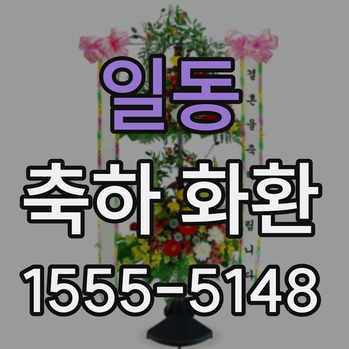일동 축하 화환
