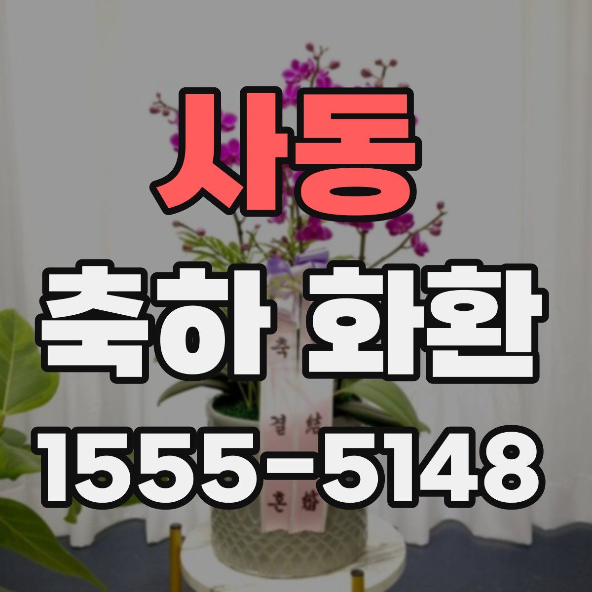 사동 축하 화환
