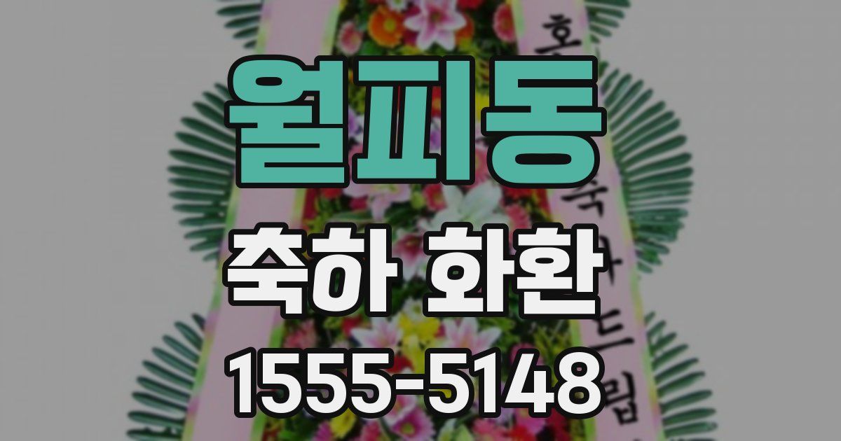 월피동 축하 화환