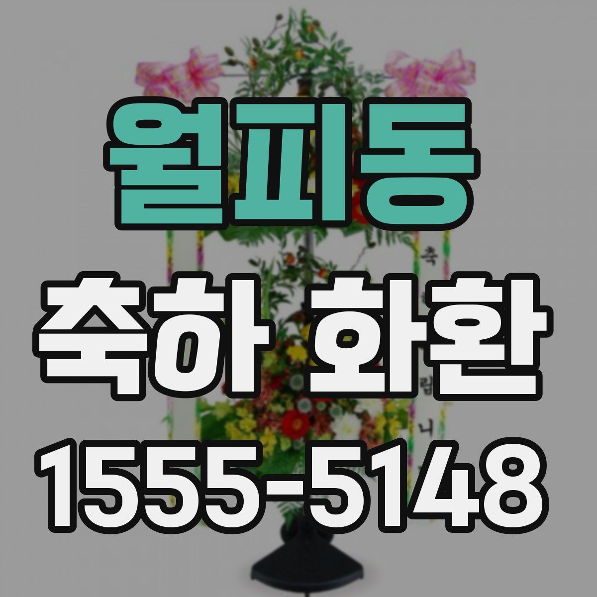 월피동 축하 화환