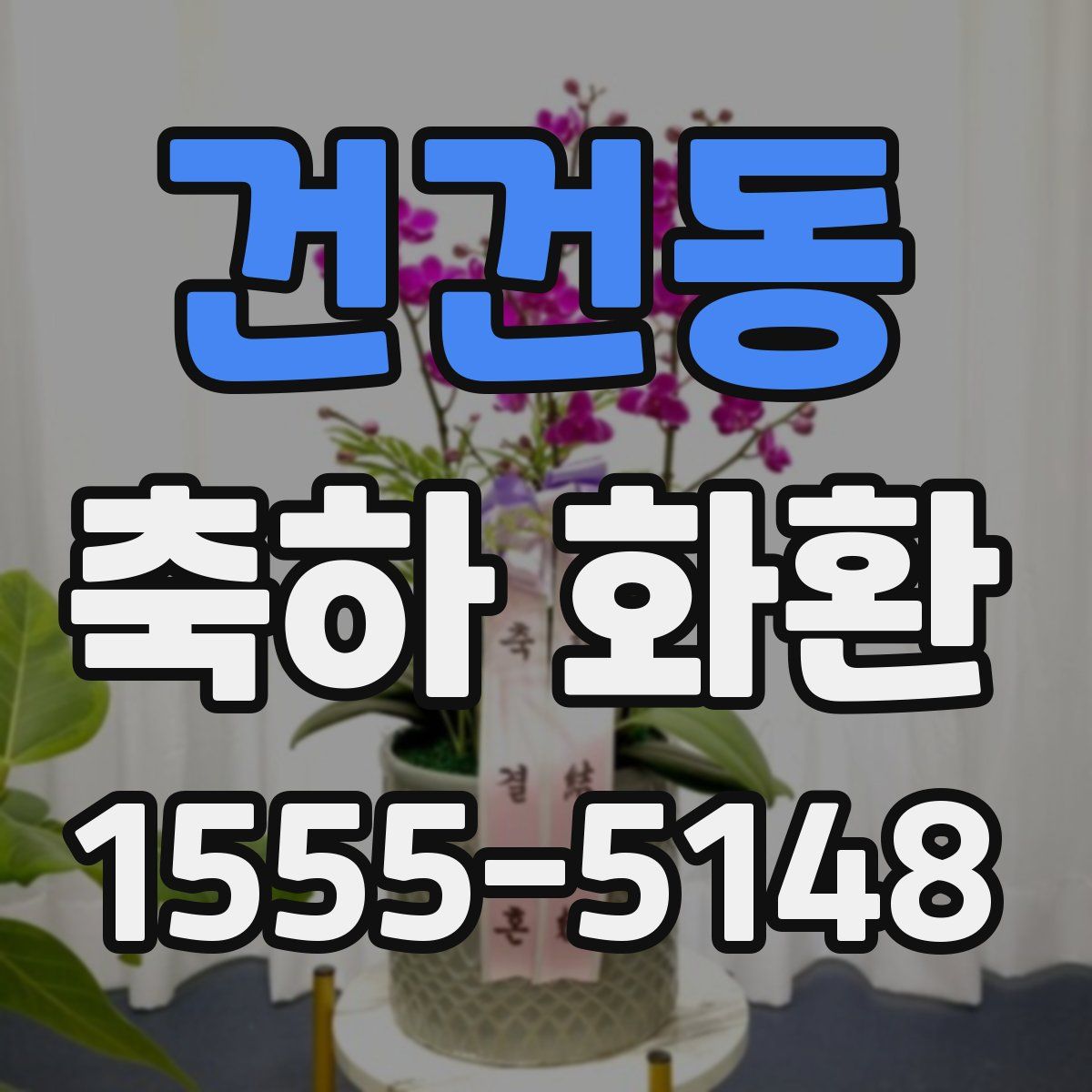 건건동 축하 화환