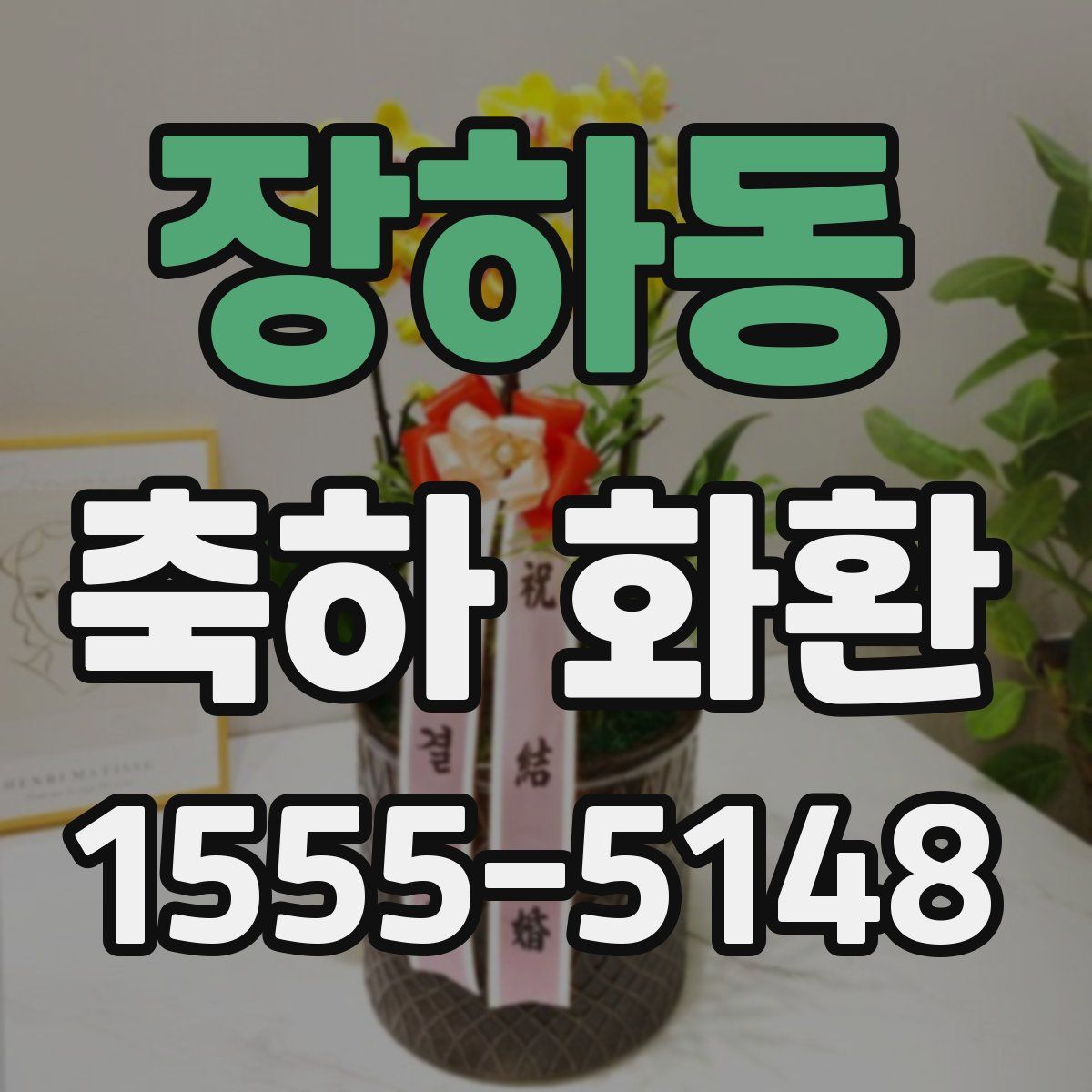 장하동 축하 화환