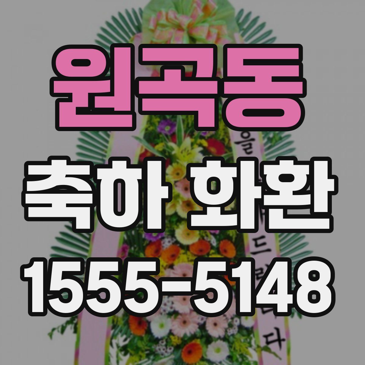 원곡동 축하 화환