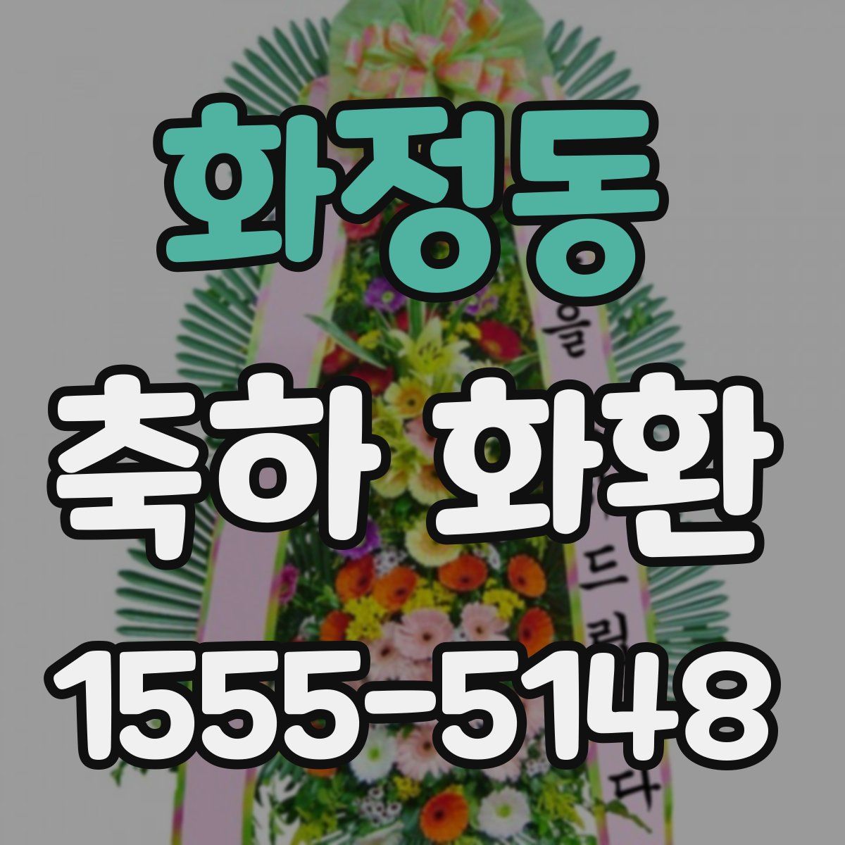 화정동 축하 화환