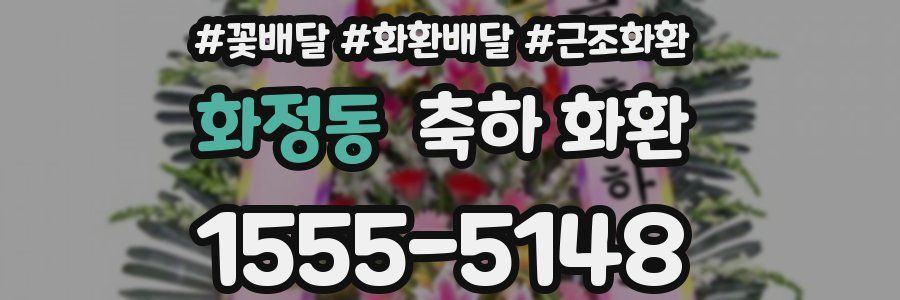 화정동 축하 화환