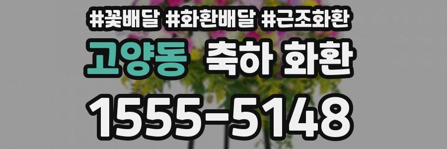 고양동 축하 화환
