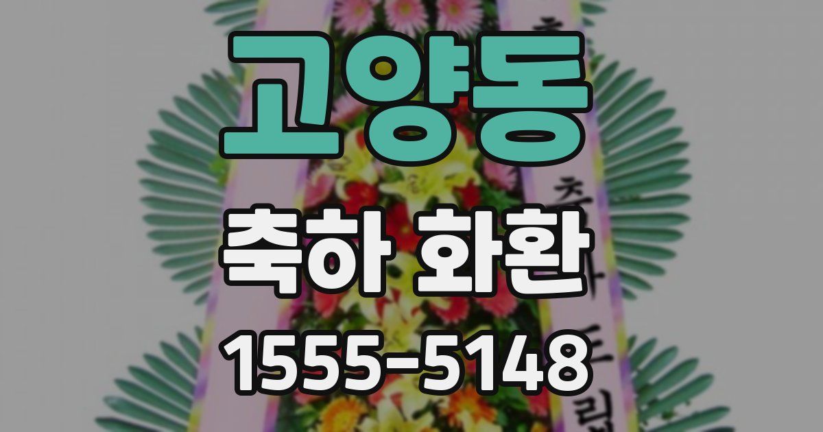 고양동 축하 화환