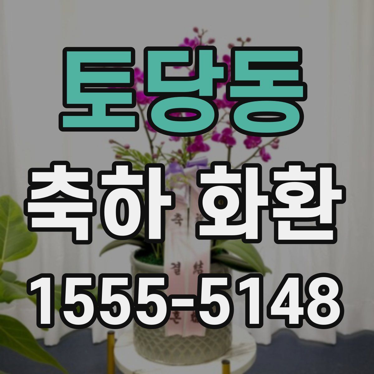 토당동 축하 화환