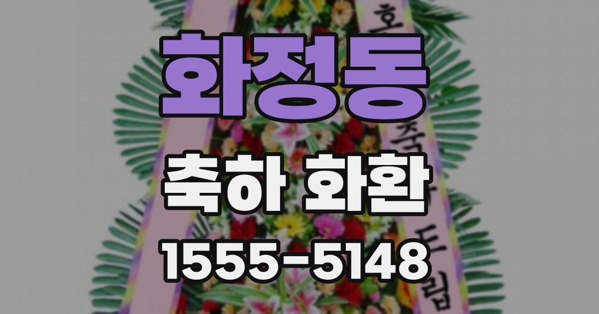 화정동 축하 화환