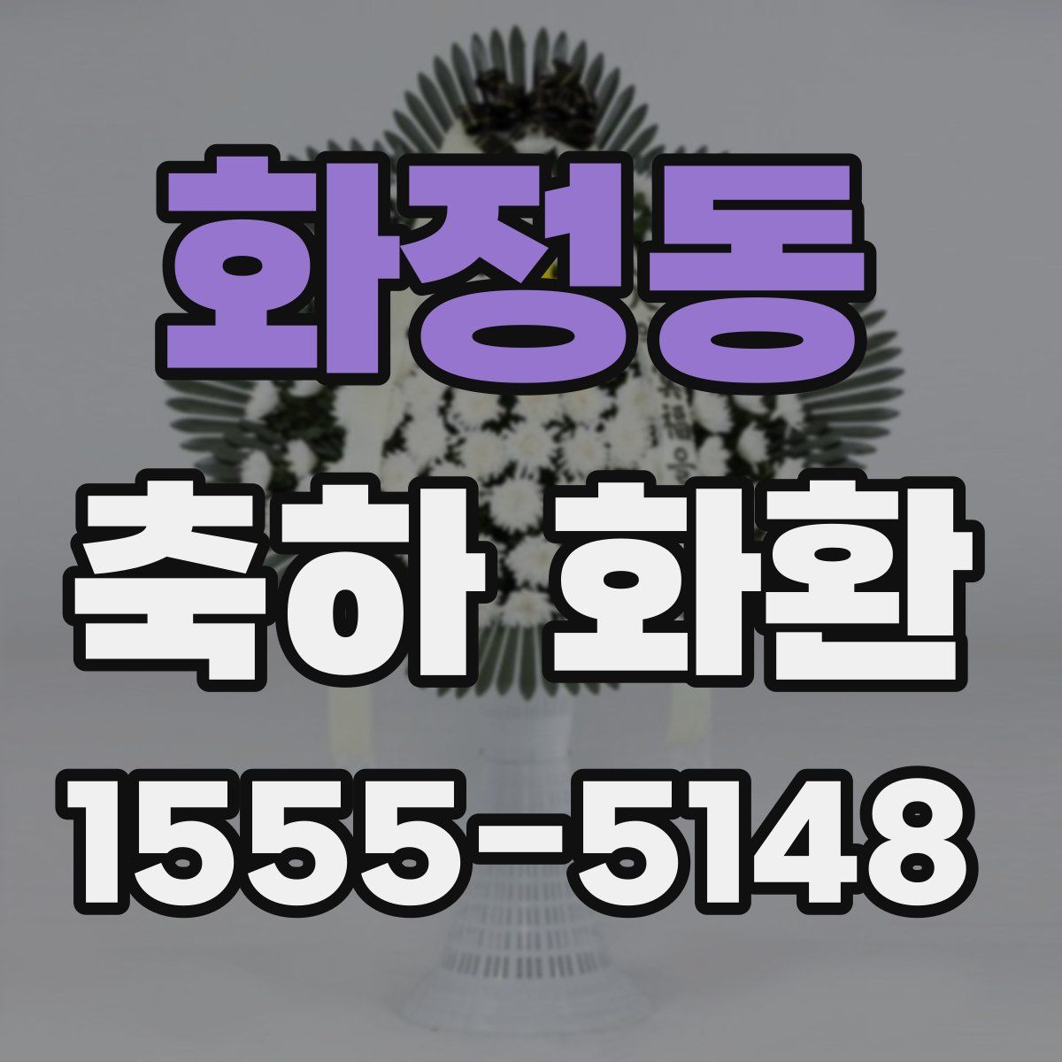 화정동 축하 화환