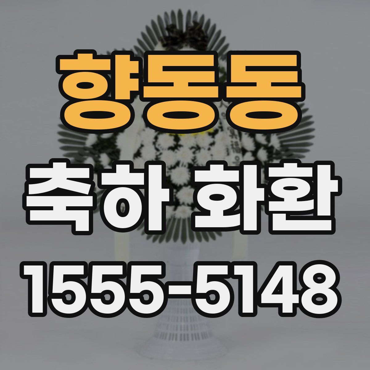 향동동 축하 화환