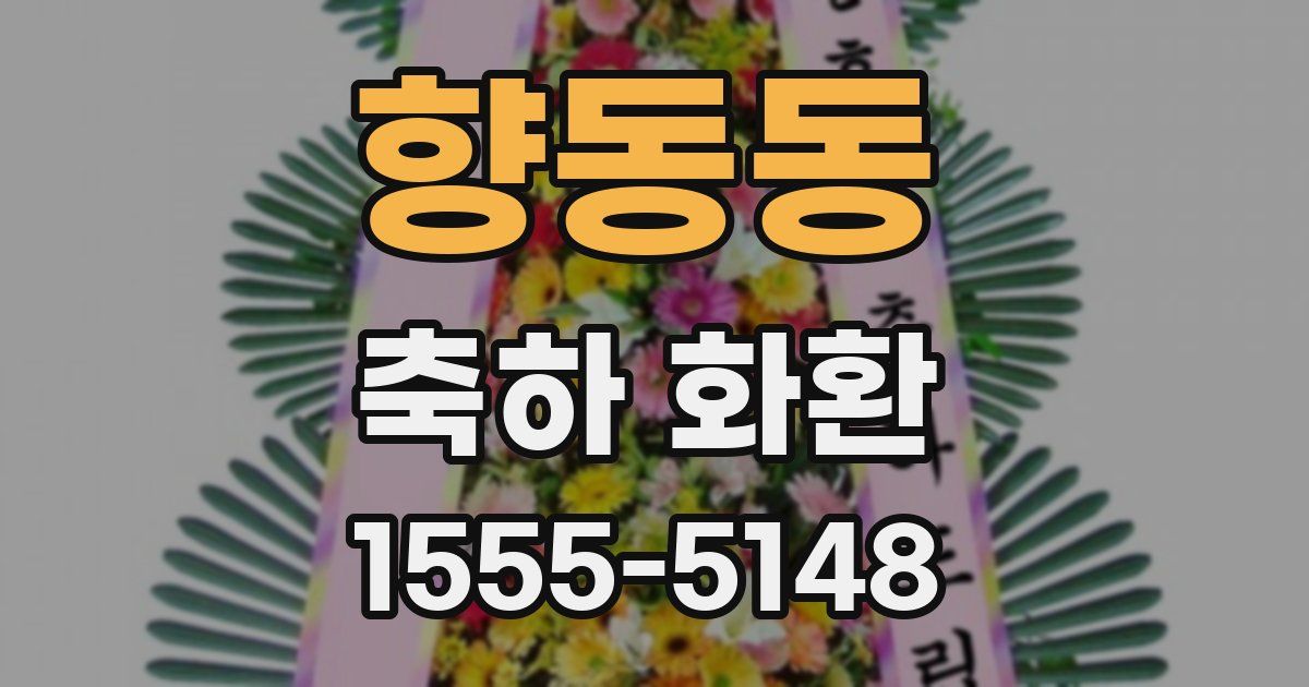 향동동 축하 화환