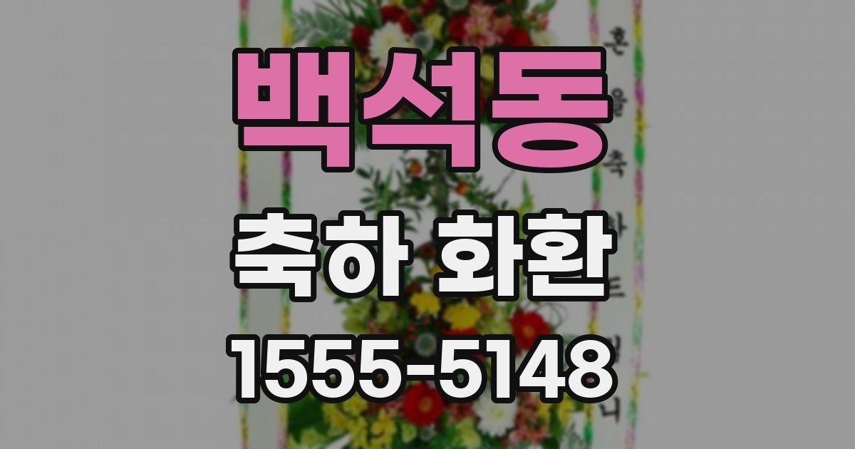 백석동 축하 화환