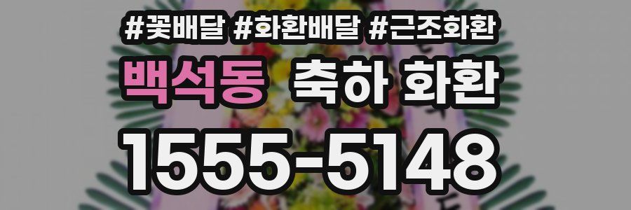백석동 축하 화환