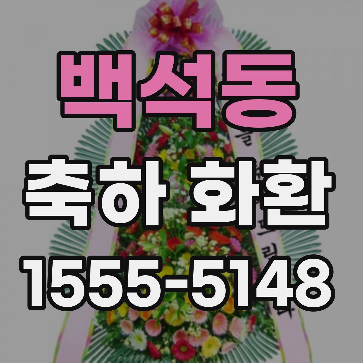 백석동 축하 화환