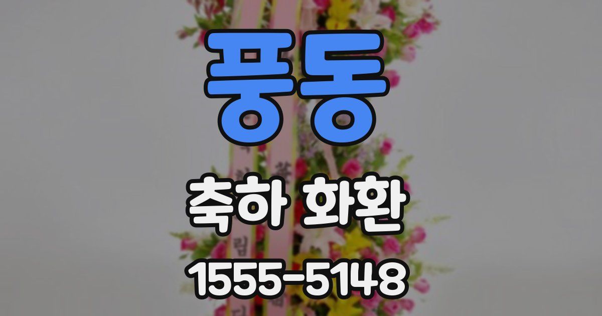 풍동 축하 화환