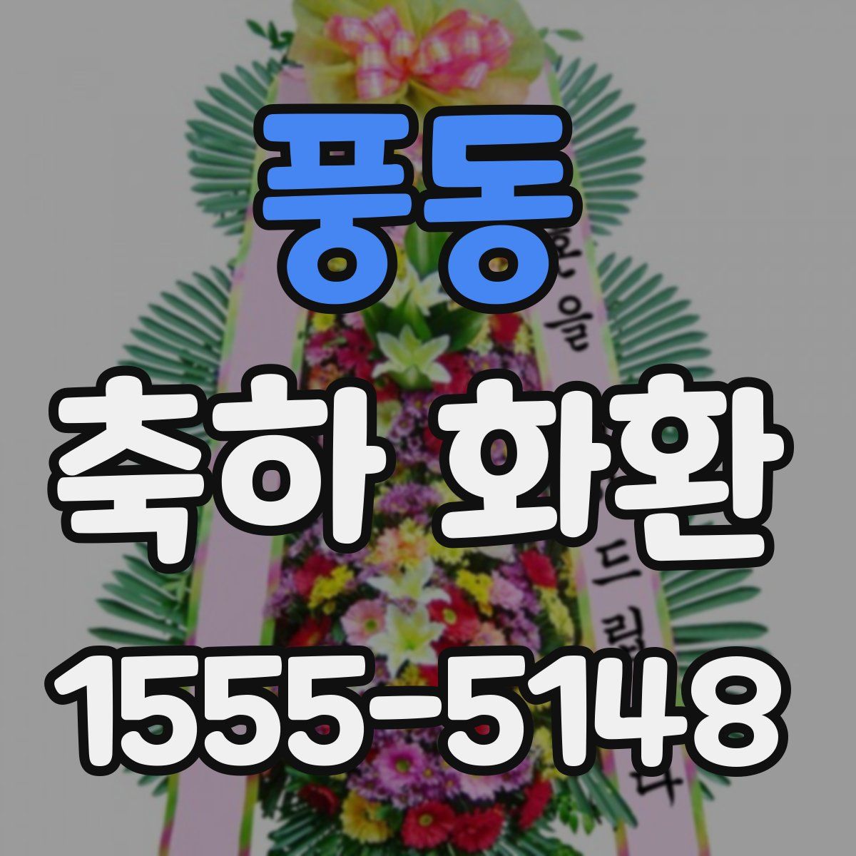풍동 축하 화환