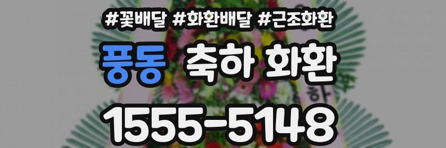 풍동 축하 화환