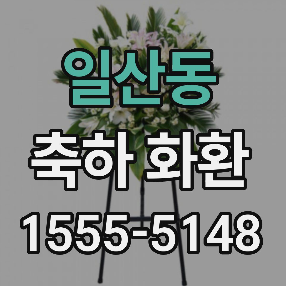 일산동 축하 화환
