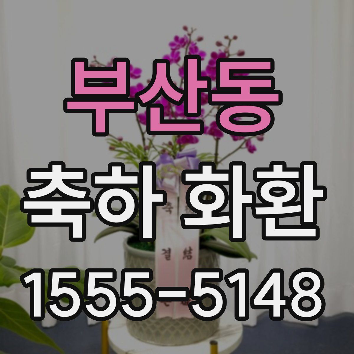 부산동 축하 화환