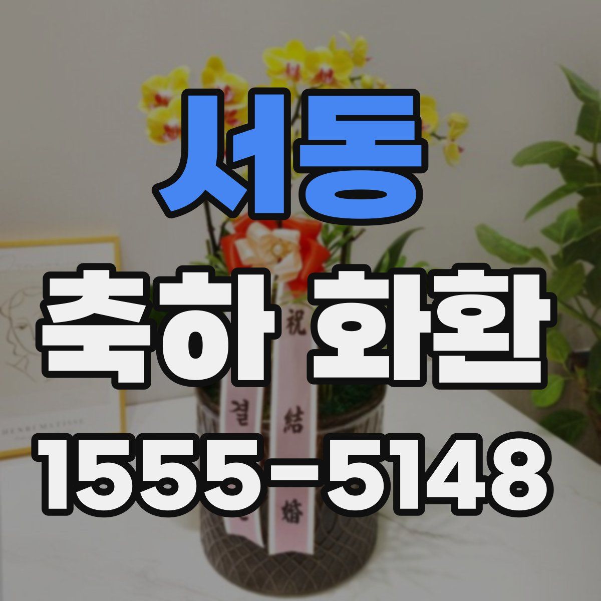 서동 축하 화환