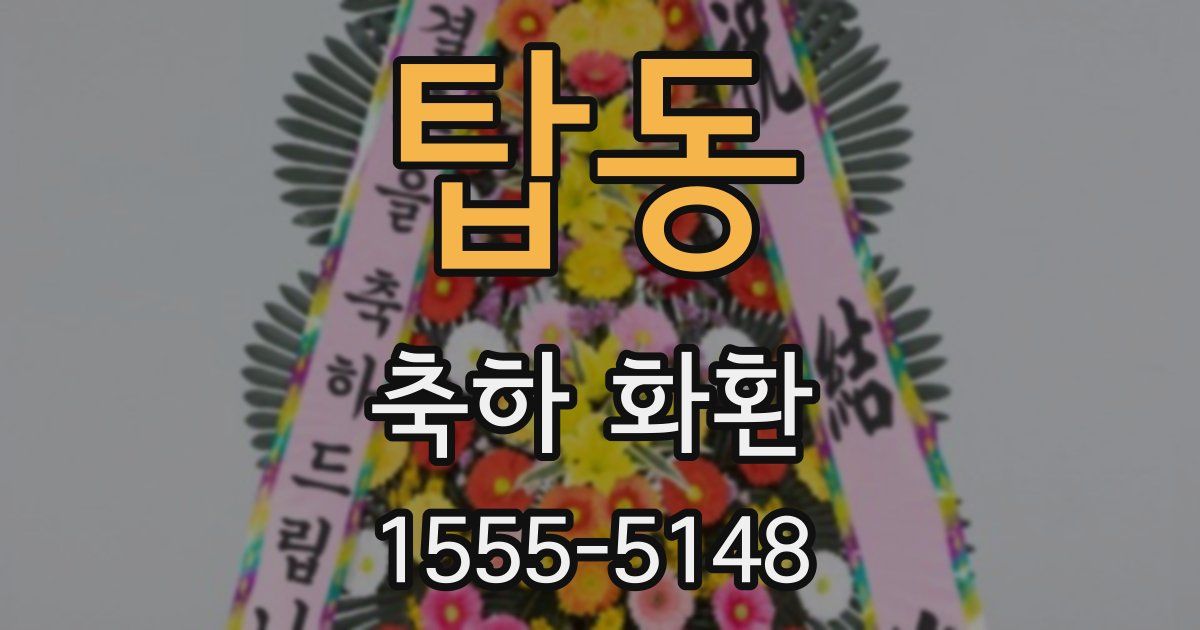 탑동 축하 화환