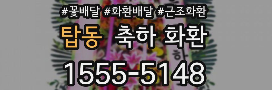 탑동 축하 화환