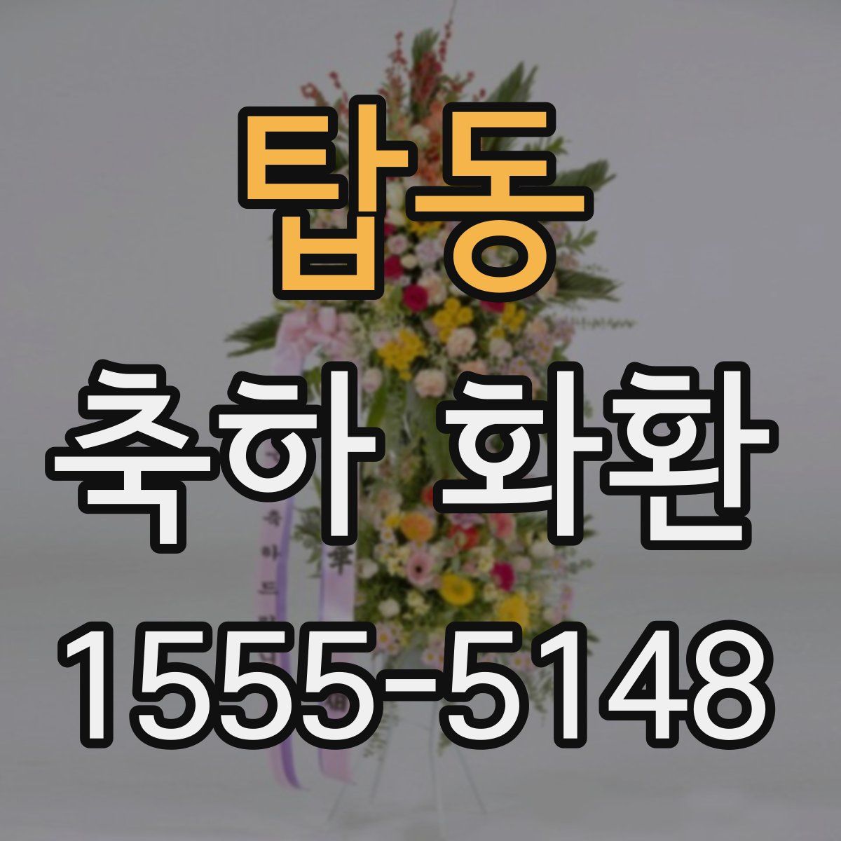 탑동 축하 화환