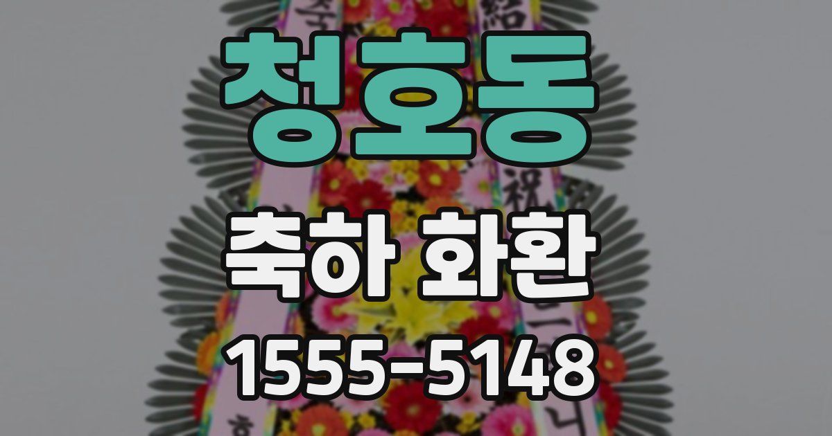 청호동 축하 화환
