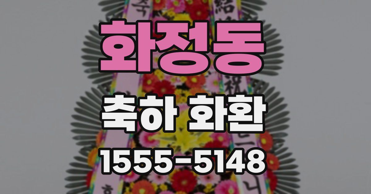 화정동 축하 화환