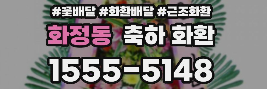 화정동 축하 화환