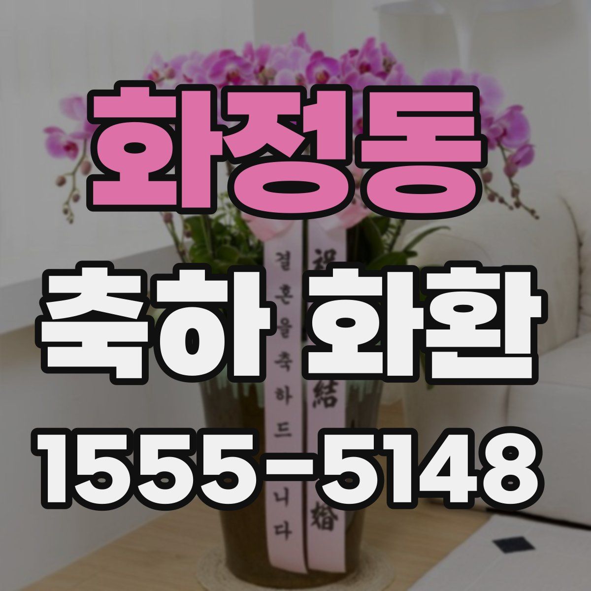 화정동 축하 화환
