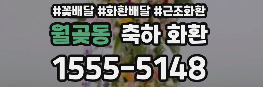 월곶동 축하 화환