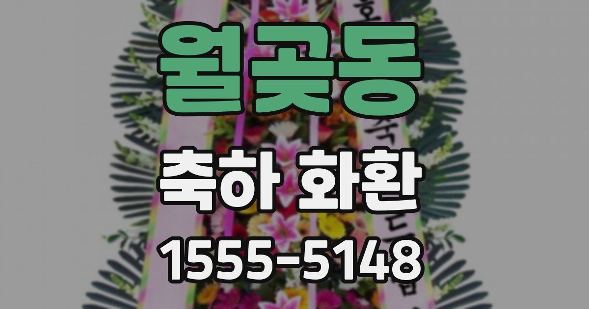 월곶동 축하 화환