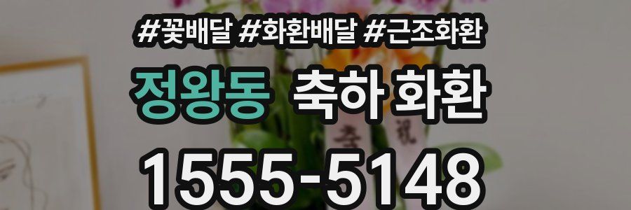 정왕동 축하 화환