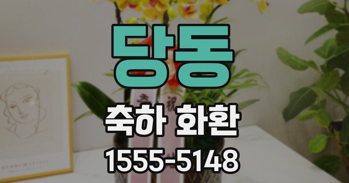 당동 축하 화환