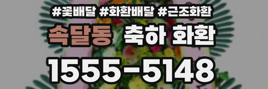 속달동 축하 화환