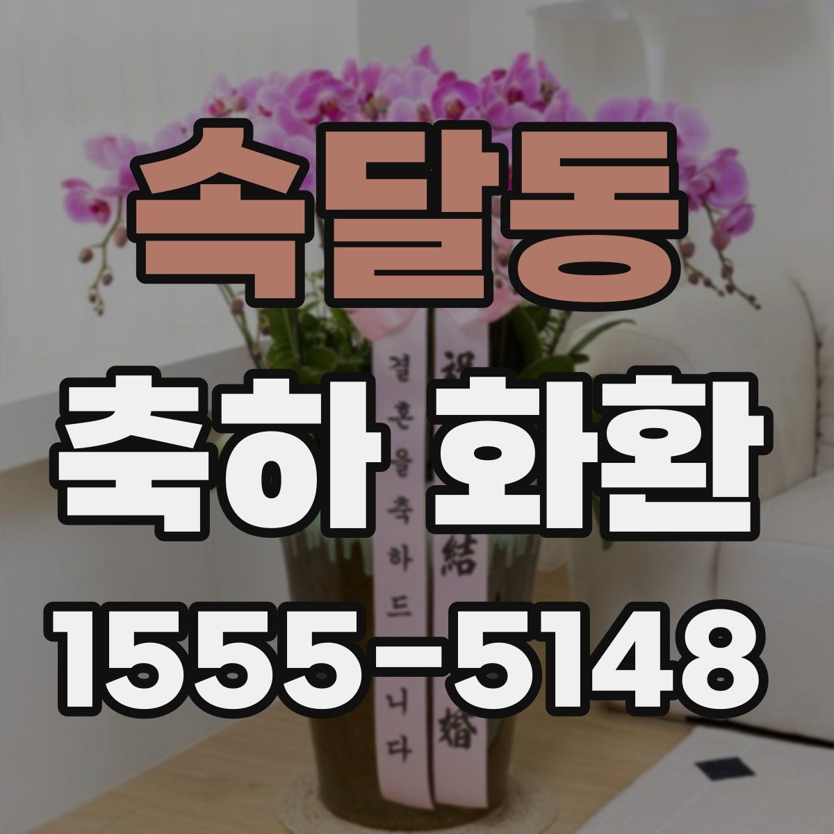 속달동 축하 화환