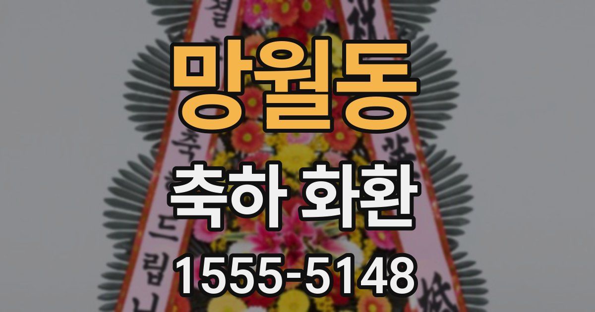 망월동 축하 화환