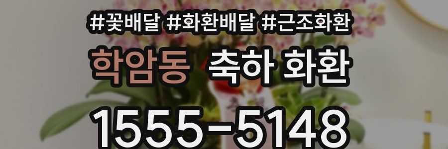 학암동 축하 화환
