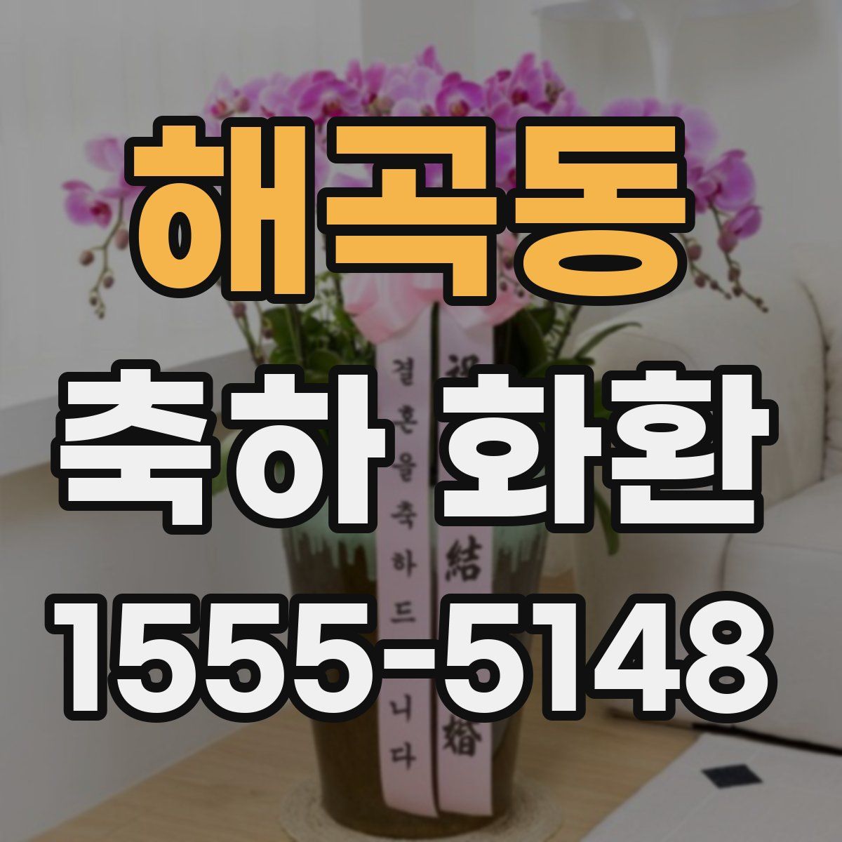 해곡동 축하 화환