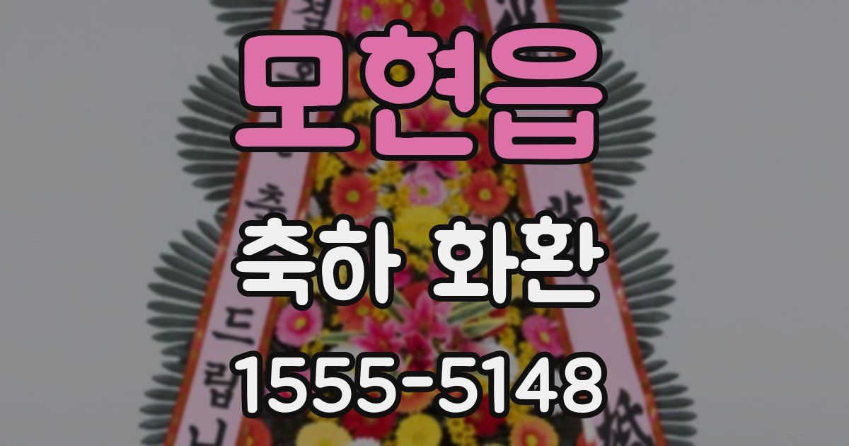 모현읍 축하 화환