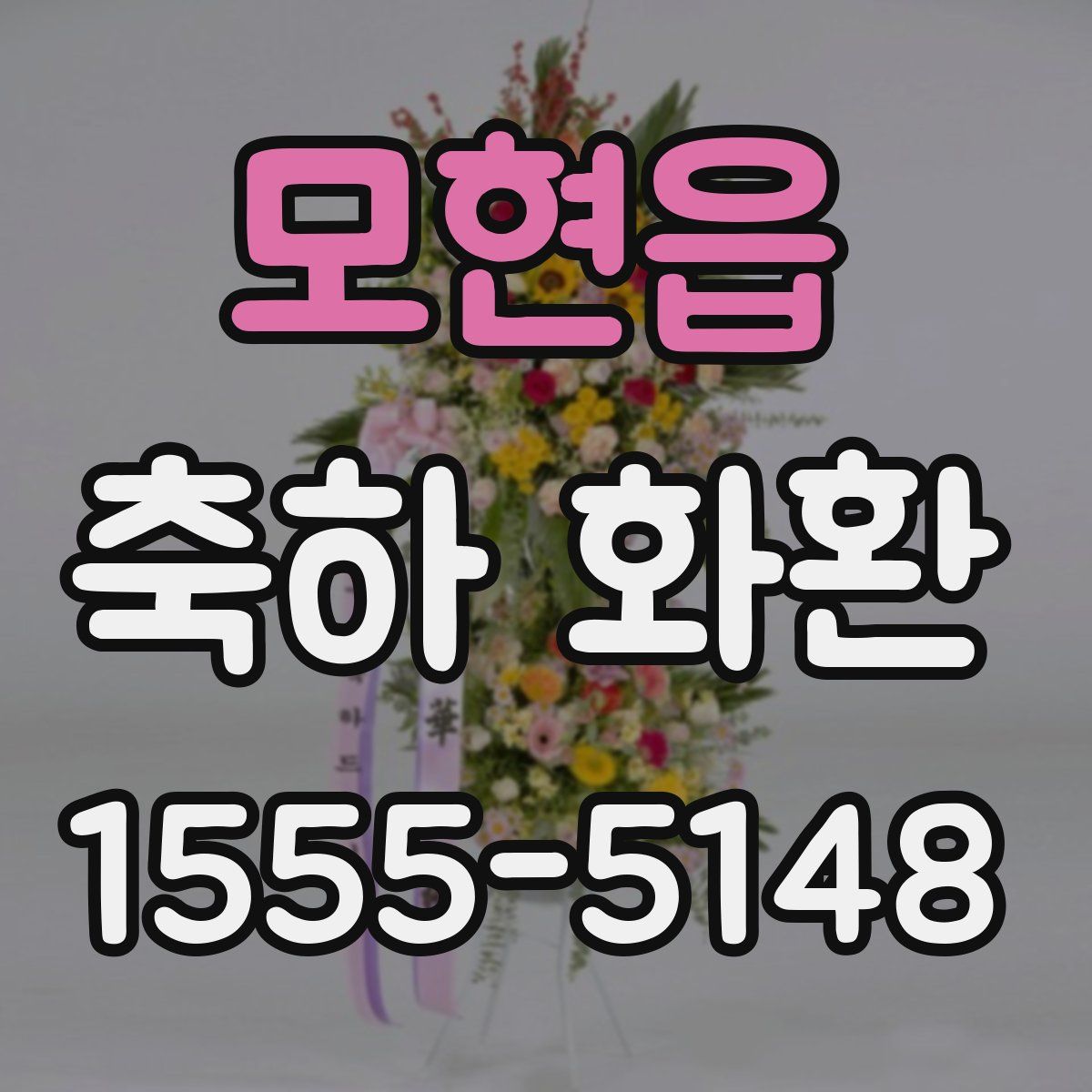 모현읍 축하 화환