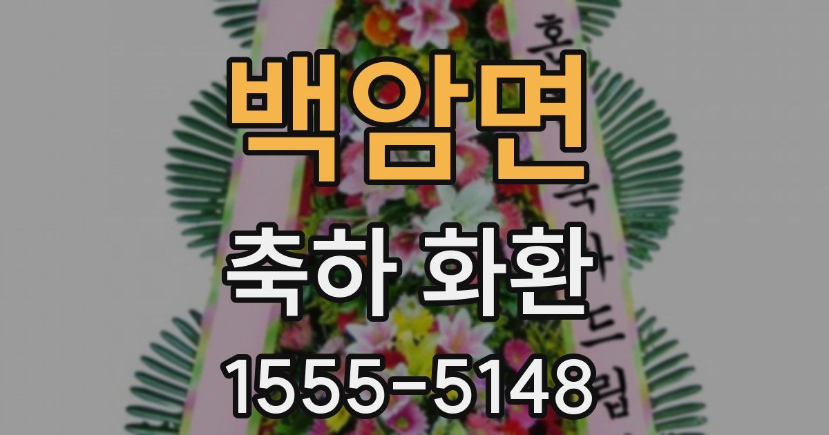 백암면 축하 화환