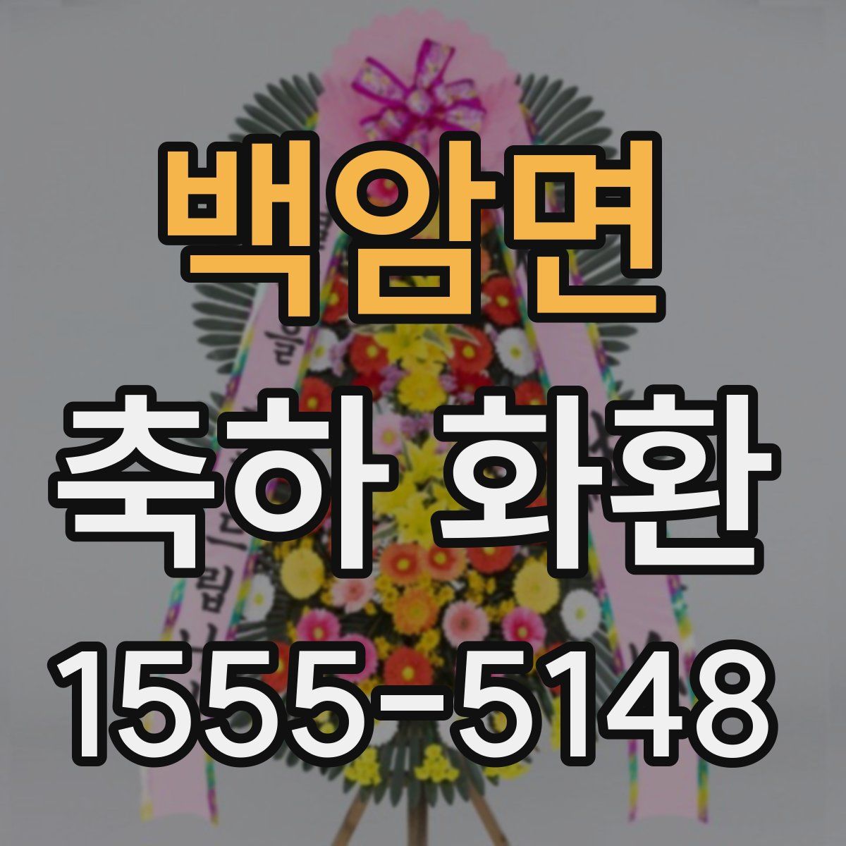 백암면 축하 화환
