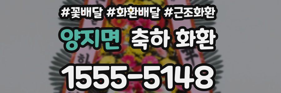 양지면 축하 화환