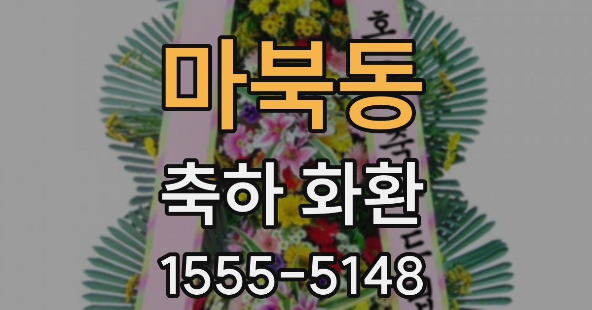 마북동 축하 화환