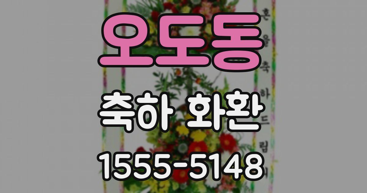 오도동 축하 화환