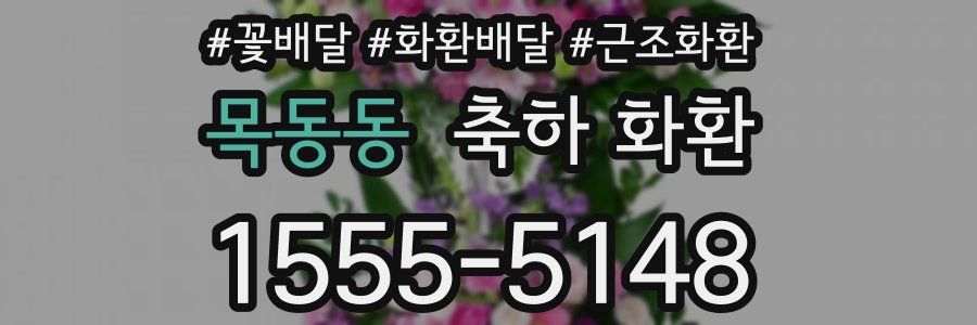 목동동 축하 화환